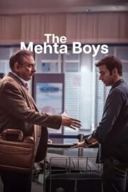The metha boys