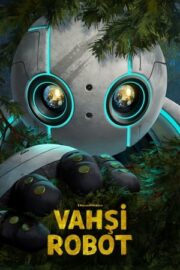 Vahşi Robot