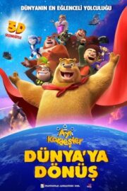 Ayı Kardeşler: Dünya’ya Dönüş