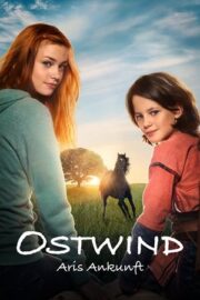 Windstorm 4: Ari’nin Gelişi